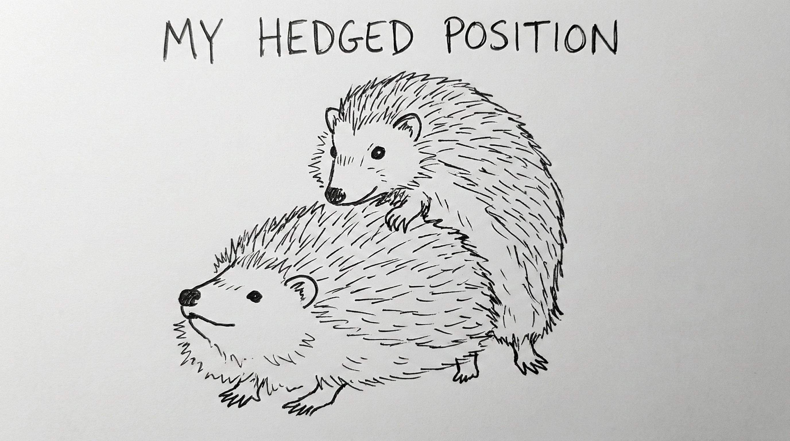 Two hedgehogs - My Hedged Position